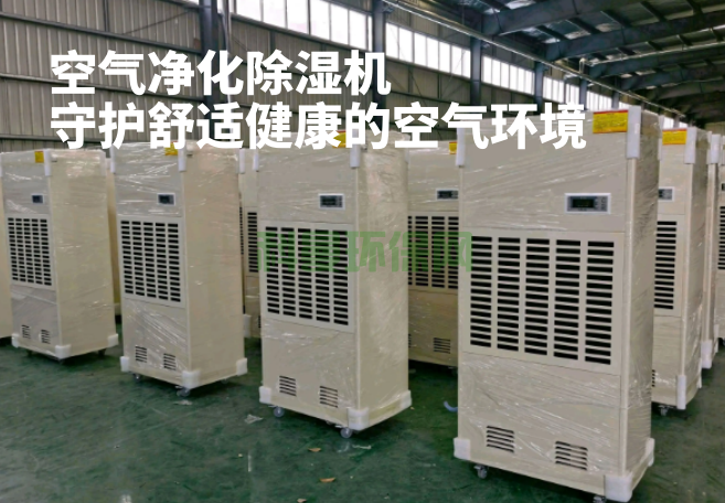 空氣凈化除濕機：守護舒適健康的空氣環(huán)境
