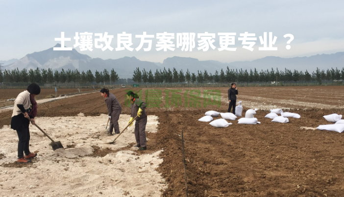 土壤改良方案哪家更專(zhuān)業(yè)？怎么比較？