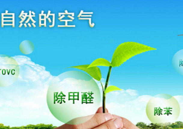 除了空氣凈化器，還有哪些方法可以有效去除甲醛？